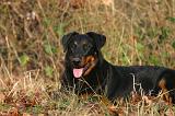 BEAUCERON 1033